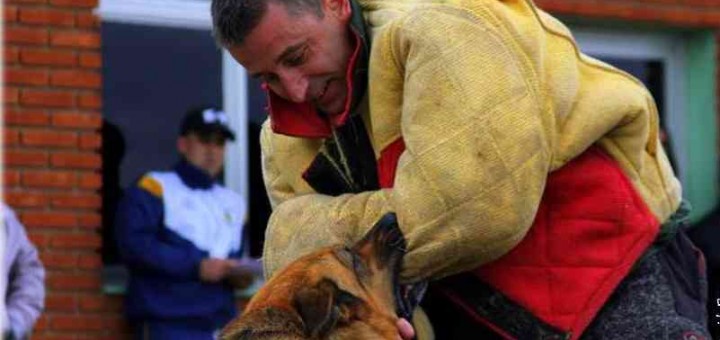 Hundetrainerschein